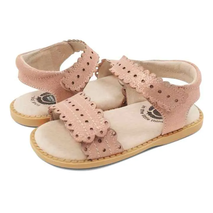 صندل شبشب-flip-flop sandal