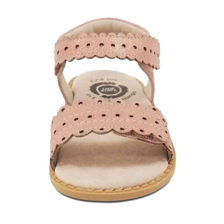 صندل شبشب-flip-flop sandal