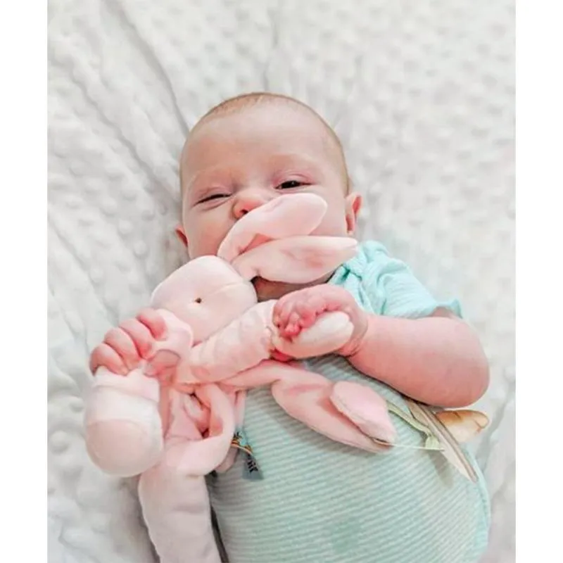 Babies' Pink soft and cuddly Blossom silly buddy bunny plush toy & pacifier holder - Bunnies by the Bay